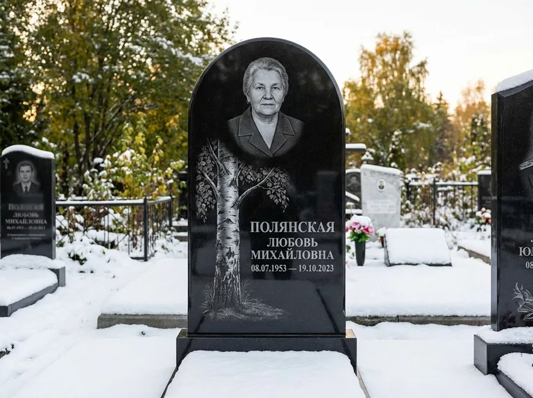 Памятник с гравировкой берёзы: полукруглая стела — объёмная одинокая берёза с фактурной корой, заснеженный зимний участок, работа «Полянская» в Белгороде