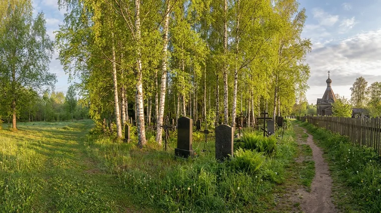 Аллея с берёзами и гранитными надгробиями на кладбище Берёзовая роща в Новинках