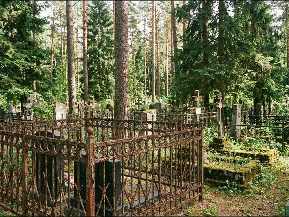 Фото до ретуши